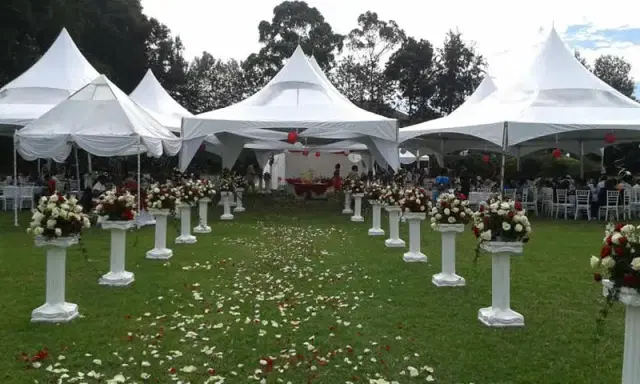 Wedding and pre-wedding